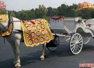 Amazing Wedding White Horse Costume
