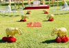 Golden Elephant Statues at Wedding Entrance Golden Elephant Statues at Wedding Entrance