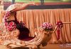 Exclusive Mayur Style Wedding Doli Palki Exclusive Mayur Style Wedding Doli Palki