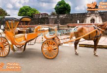 Stylish Horse Drawn Vis A Vis Carriage Sale Stylish Horse Drawn Vis A Vis Carriage Sale