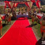 Indian FRP Elephant Statues For Wedding Entry