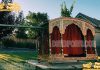 Traditional Wedding Rajwada Doli for Bride Entry