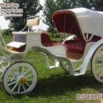 Latest Canadian Victorian Horse Tourist Carriage