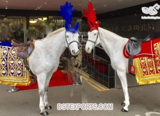 Royal Indian Wedding Horse Costume Decoration Royal Indian Wedding Horse Costume Decoration