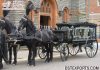 Vintage Style Funeral Black Hearse Carriage Vintage Style Funeral Black Hearse Carriage