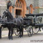 Vintage Style Funeral Black Hearse Carriage