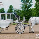 Deluxe Horse Drawn Carriages Manufacturer