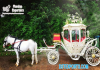 Luxurious Pumpkin Style Cinderella Carriages Luxurious Pumpkin Style Cinderella Carriages