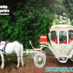 Luxurious Pumpkin Style Cinderella Carriages