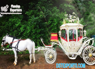 Luxurious Pumpkin Style Cinderella Carriages Luxurious Pumpkin Style Cinderella Carriages