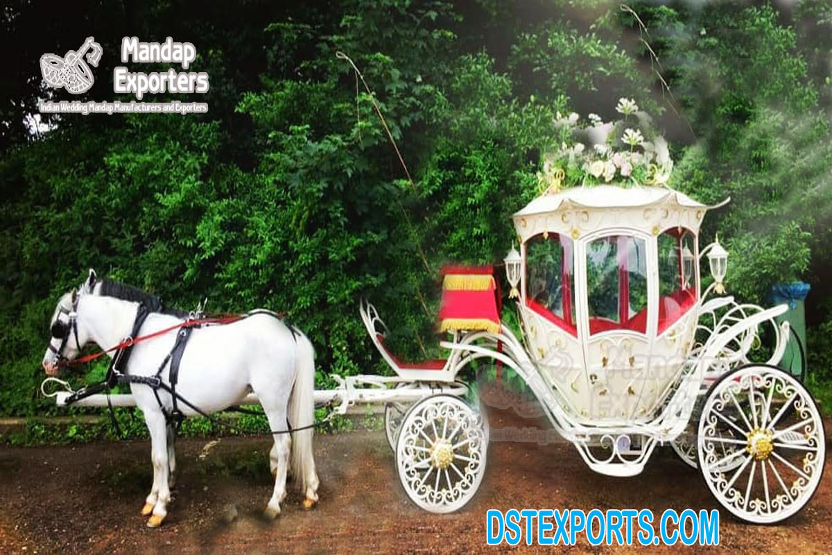 Luxurious Pumpkin Style Cinderella Carriages