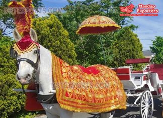 Heavy Embroidered Horse Costume Set Stunning South Indian Wedding Stage Set