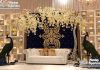 Latest Design Embroidery Wedding Velvet Backdrop