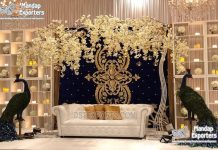 Latest Design Embroidery Wedding Velvet Backdrop