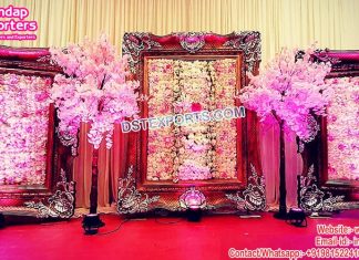 Exclusive Reception Stage Backdrop Photo Frames Exclusive Reception Stage Backdrop Photo Frames
