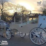White Vintage Finish Horse Drawn Carriage