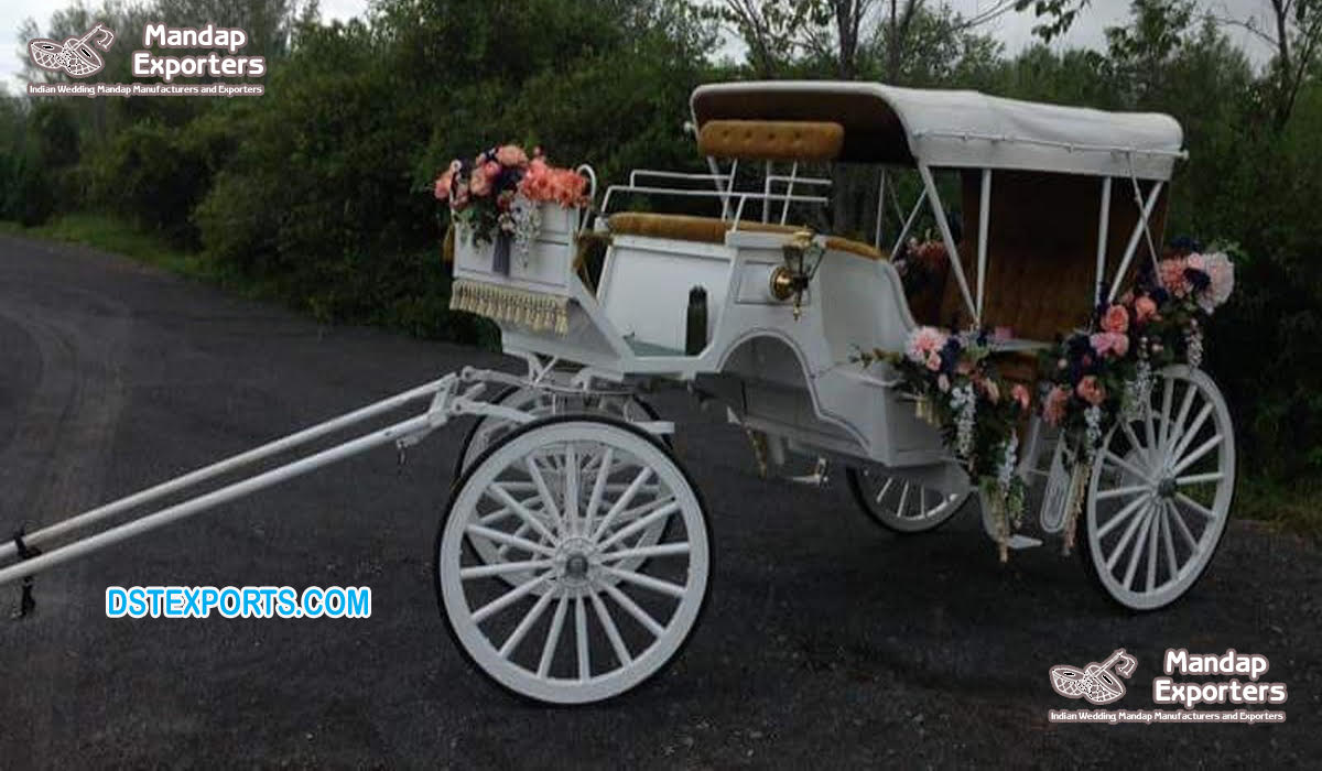 Deluxe Victorian Horse Drawn Carriage 