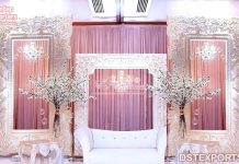 Exclusive Wedding Stage Backdrop Frames Setup Exclusive Wedding Stage Backdrop Frames Setup