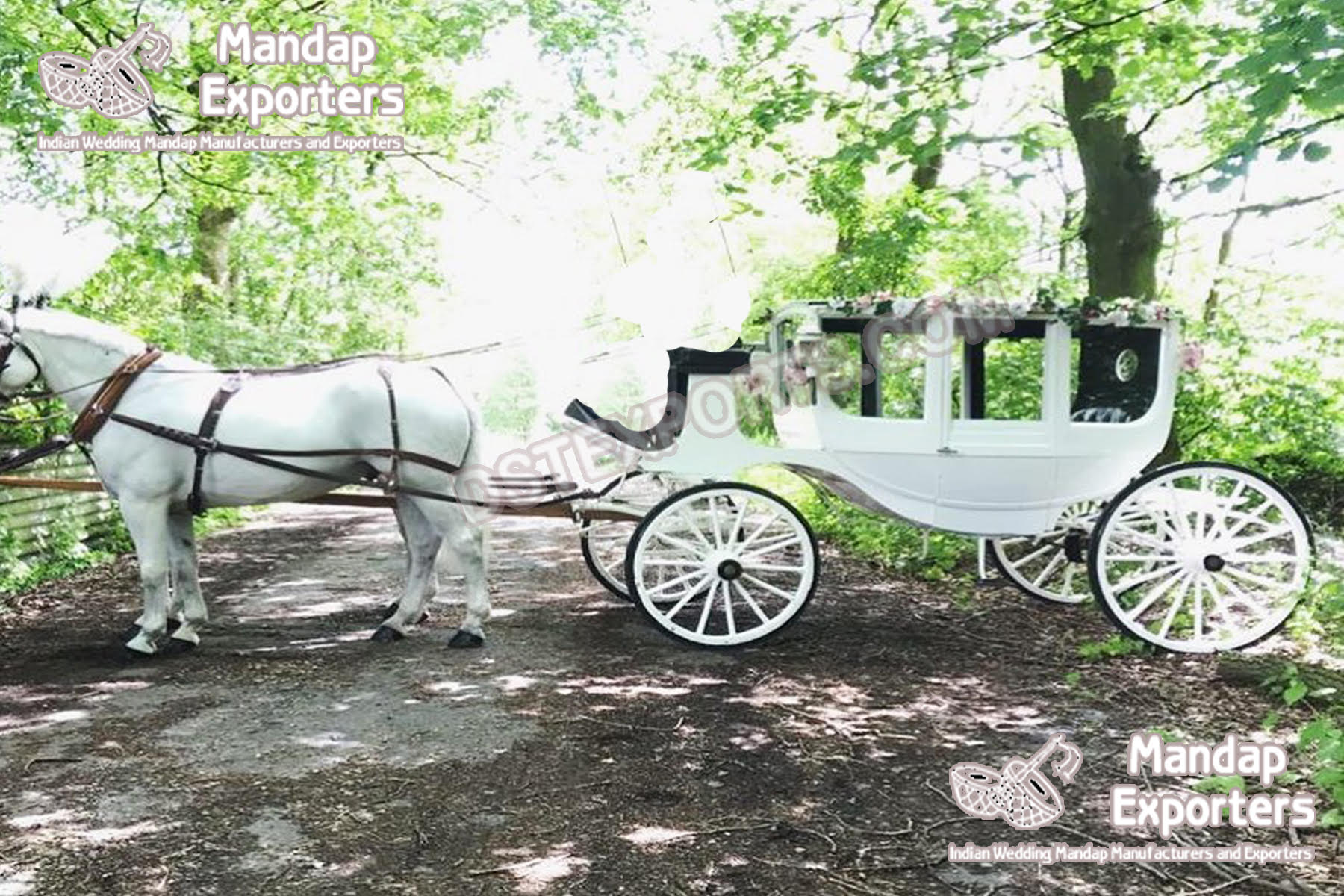 Western Royal White Horse Drawn Carriage