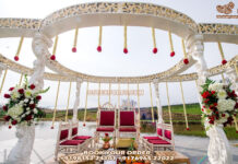 Stylish Peacock Design Outdoor Wedding Mandap Stylish Peacock Design Outdoor Wedding Mandap